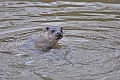 04 01 17_5319_edited-1